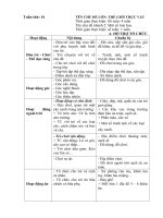 Kế hoạch phối hợp tuần 16: Một số loại hoa (Năm học 2019 - 2020)