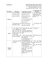 Kế hoạch giáo dục tuần 5: Năm học 2020-2021