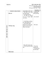 tuần 18. chim và côn trùng