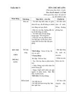 giáo án tuần 3 chủ đề bản thân nhánh lễ hội mùa thu