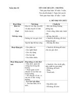 Kế hoạch phối hợp tuần 2: 