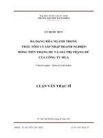 Đa dạng hóa ngành trong thâu tóm và sáp nhập doanh nghiệp dòng tiền thặng dư và giá trị thặng dư của công ty mua  
