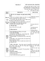 giáo án phụ tuần 3