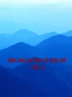 TN&XH lớp 3 - Bài: Khả năng kỳ diệu của lá cây | Tiểu học Khương Mai
