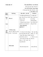 giáo án tuần 15- Ngày thành lập QĐNDVN- 2018-2019