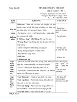 giáo án phụ tuần 22 cđ Thế giới thực vật nhánh 2