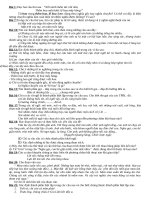 TU GIAI 60 BAI TAP TIENG VIET 9 