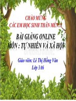 Lớp 3 - Tự nhiên và xã hội - Rễ cây