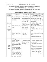 Giáo án tuần 6 (Tuần phụ): Chủ đề Bản Thân