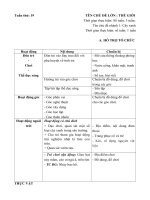 KHPH tuần 19- Cây xanh