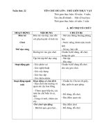 Tuần 22 ( Tuần phụ) chủ đề: Thế giới thực vật