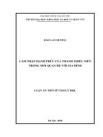 Luận án tiến sĩ cảm nhận hạnh phúc của thanh thiếu niên trong mối quan hệ với gia đình