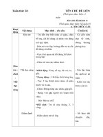 giao an tuan 28- phương tiện giao thông đường hàng không