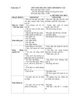 Kế hoạch phối hợp tuần 19: Động vật sống dưới nước (Năm học 2017- 2018)