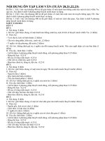 Ôn tập Tập làm văn Khối 8 tuần 20, 21, 22, 23