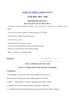 Tải Giáo án tiếng Anh lớp 8 Tuần 6 sách mới - Giáo án điện tử môn tiếng Anh 8 theo tuần