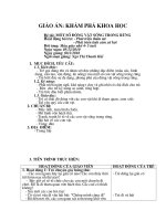 Một số con vật sống trong rừng - Mầm non - Trung tâm Thông tin - Thư viện điện tử