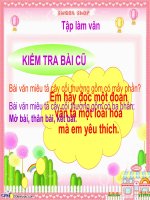 TV4 - Tuần 23 - Đoạn văn trong bài văn miêu tả cây cối