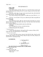 ÔN TẬP VÀ KIỂM TRA HỌC KỲ I(TIẾT 15 16 17)