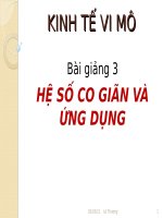 HỆ số CO GIÃN và ỨNG DỤNG ppt _ KINH TẾ VI MÔ