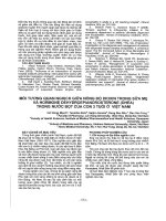 Mối tương quan nghịch giữa nồng độ Dioxin trong sữa mẹ và Hormone Dehydroepiandrosterone (DHEA) trong nước bọt của con 3 tuổi ở Việt Nam