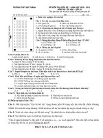 ĐỀ KTRA GIỮA HKI VÀ HD CHẤM - TIN 10. NH 2020-2021