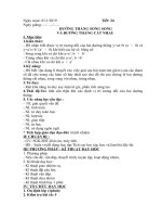 đại 9 tuần 13 tiết 24 25