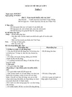 Giáo án Mĩ thuật lớp 1 tuần 1