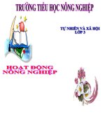 Tuần 15_Môn tự nhiên và xã hội_ Bài: Hoạt động nông nghiệp