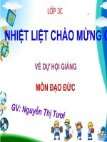 Tuần 9_Môn Đạo đức_Bài Chia sẻ vui buồn cùng bạn (tiếp theo)