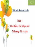 Luyện từ và câu 2 - Tuần 1: Từ và câu