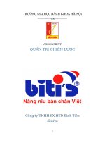 Quản trị chiến lược công ty BITIS