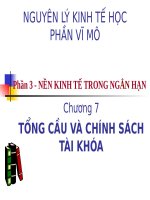 TỔNG cầu và CHÍNH SÁCH tài KHÓA ppt _ KINH TẾ VĨ MÔ