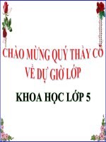 Khoa học 5 - Tuần 12: Bài: Sắt , gang , thép | Tiểu học Dương Quang
