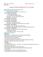 GIÁO ÁN CHỦ ĐỀ SINH 6 KÌ II- CƠ QUAN SINH SẢN CỦA CÂY XANH