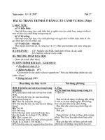 Tuần 14- Công nghệ - lớp 6