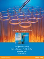 Preview Inorganic chemistry by Miessler, Gary L. Fischer, Paul J. Tarr, Donald A (2013)