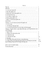 CHUYEN DE: COMMON SENTENCE ERRORS