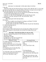 Công nghệ 7 tiết 20 tuần 11