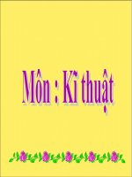 Kĩ thuật 5 - Tuần 19: Nuôi dưỡng gà | Tiểu học Dương Quang