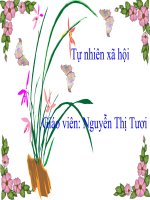 Tuần 3_Môn Tự nhiên và xã hội_Bài Bệnh lao phổi_lớp 3