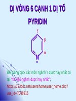 DỊ VÒNG 6 CẠNH 1 dị tố ppt _ HÓA HỮU CƠ