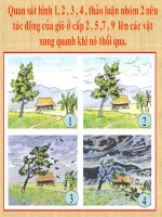 Giáo  án điện tử khối 4 - tuần 20