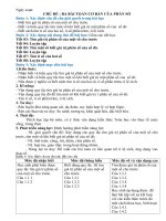 Giáo án số 6 : Chủ đề BA BÀI TOÁN VỀ PHÂN SỐ