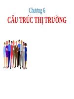 CẤU TRÚC THỊ TRƯỜNG ppt _ KINH TẾ VI MÔ
