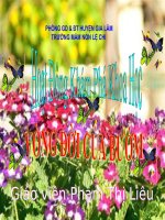 Bài giảng điện tử MG lớn: KPKH Vòng đời của bướm