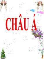 Tuần 19: Địa lí : Châu Á