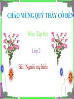 Tập đọc 2 : Tuần 8: Người mẹ hiền