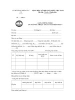 Mẫu giấy chứng nhận an toàn kỹ thuật tàu cá, tàu kiểm ngư