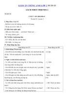 Tải Giáo án Tiếng Anh lớp 2 Tuần 23 sách First Friends 2 - Giáo án môn tiếng Anh lớp 2 theo tuần